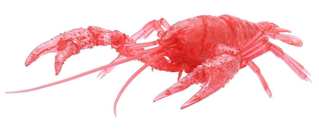 Free Research Series 24 Living Creatures Edition American Crayfish Plastic Model No. EX-4 (Clear Red)