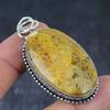 Fossil Coral Ethnic 925 Sterling Silver Jewelry Pendant 2.40" i4Y03
