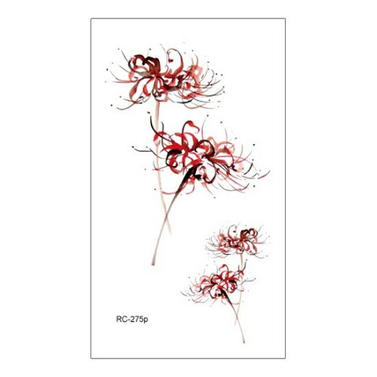 Waterproof Long-lasting Cute Peacock Feather Temporary Tattoo Stickers for Women