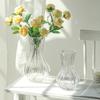 Transparent Glass Vase Nordic Flower Vases Ins Plants Bottle Flower Arrangement for Home Office Living Room Desktop Decoration