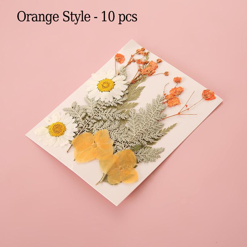 Transparent Preserved Flower Bookmark Set DIY Pressed Flower Bookmark Craft Kit with Clear Jar Stickers Handmade Bookmarks