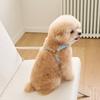 Bai Bong Puppy Light Bear Harness, Sky Blue