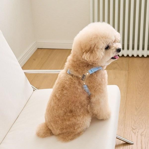 Bai Bong Puppy Light Bear Harness, Sky Blue
