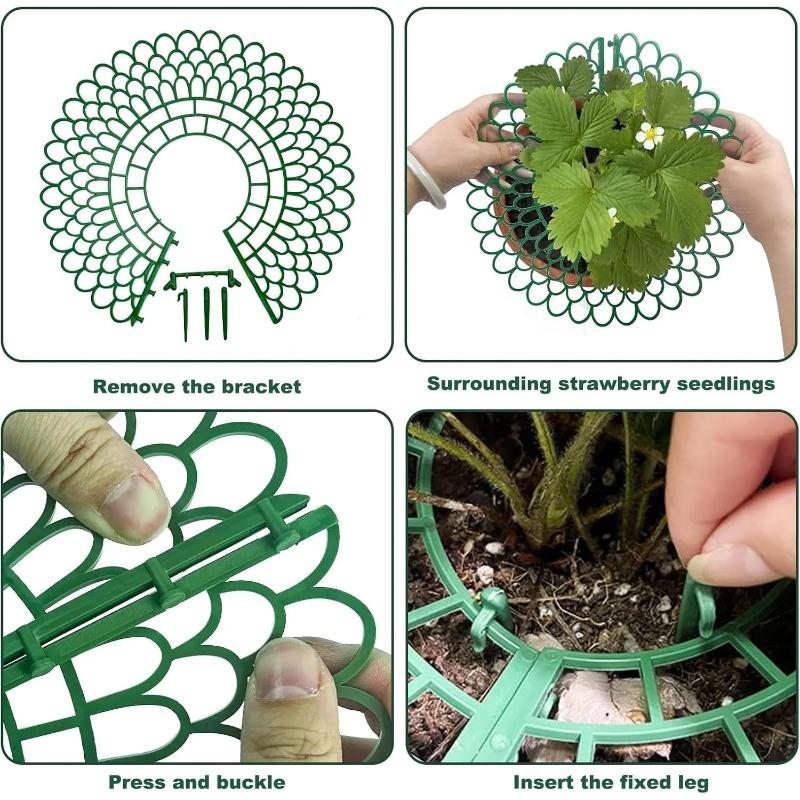 1/5/10/20 Stück Erdbeerpflanzenstützen mit drei stabilen Beinen bieten Schutz für Erdbeeren vor Schimmel, Fäulnis und Schmutz