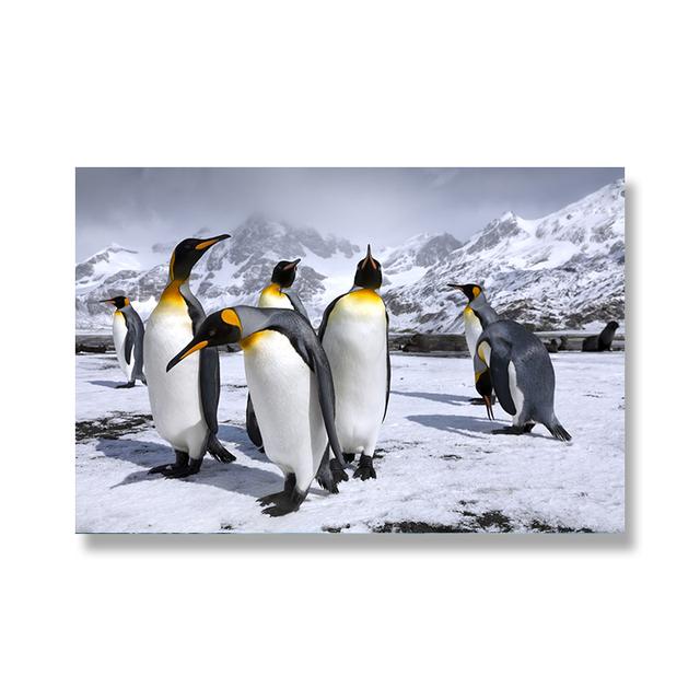 Modern Penguin Canvas Painting Wall Art Antarctic Creatures Animal Posters and Prints Wall Pictures for Living Room Decoration