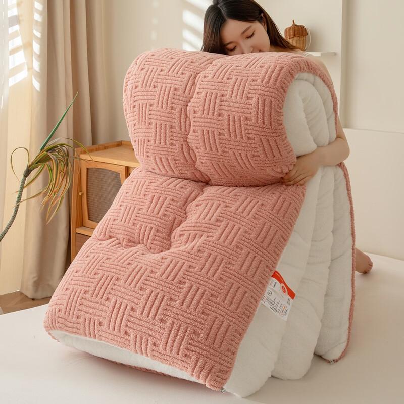 

Brangdy Thickened Warm Lamb Wool Winter Quilt