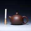 Handmade 120ml Yixing Zisha Xi Shi Teapot for Gongfu Tea