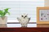 Castle Enterprises Small White Owl with Feathers, 8cm Long, Set of 10, "No Hardship" - God of Learning in Europe, For Commercial Use