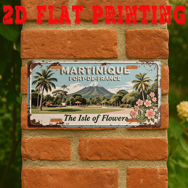 D Flat pc Martinique FortdeFrance Metal Tin Sign  Vintage French Caribbean Wall Art with Mount Pelee Volcano  French Text 15x30cm(5.9x7.8inch)