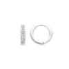 Luxenter Earrings with Brilliant Zirconium Silver Finish - Docri