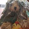 [USED] Price Reduced Again! Bear Foot Hawaii Limited Edition Teddy Bear