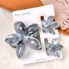 Gradient Plumeria Claw Clip Set: 18-Piece Floral Hair Accessories