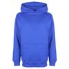 FDM Kids/Childrens Unisex Hooded Sweatshirt / Hoodie (300 GSM)
