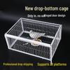 Pigeon Racing Homing Door: Durable, Secure Return Cage Equipment and Tools for Active Pigeons.
