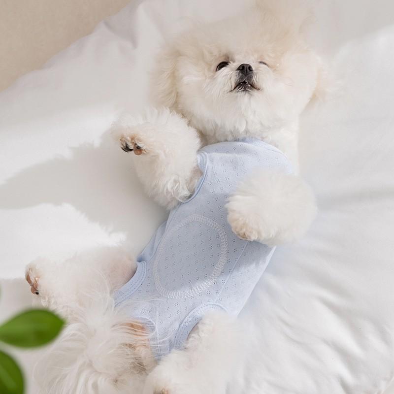 Soft Cloud-Style Recovery Suit Dogs Post-Neutering Comfort Wear Winter All-Season Pet Pajamas