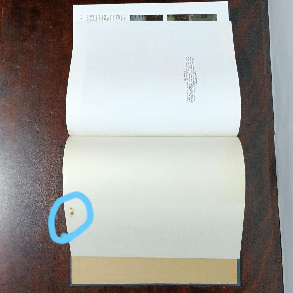 [USED] ENGLISH HOME STYLE PAM BOYS (Foreign Books Interior)