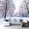 Custom 3D Wallpaper Home Decor Snow Scenery Forest Large Mural Art Wall Painting Living Room Bedroom Background Photo Wall Paper