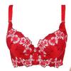 FallSweet Stickerei-BH für Damen, sexy Push-Up-Büstenhalter, CD-Cup-Unterwäsche