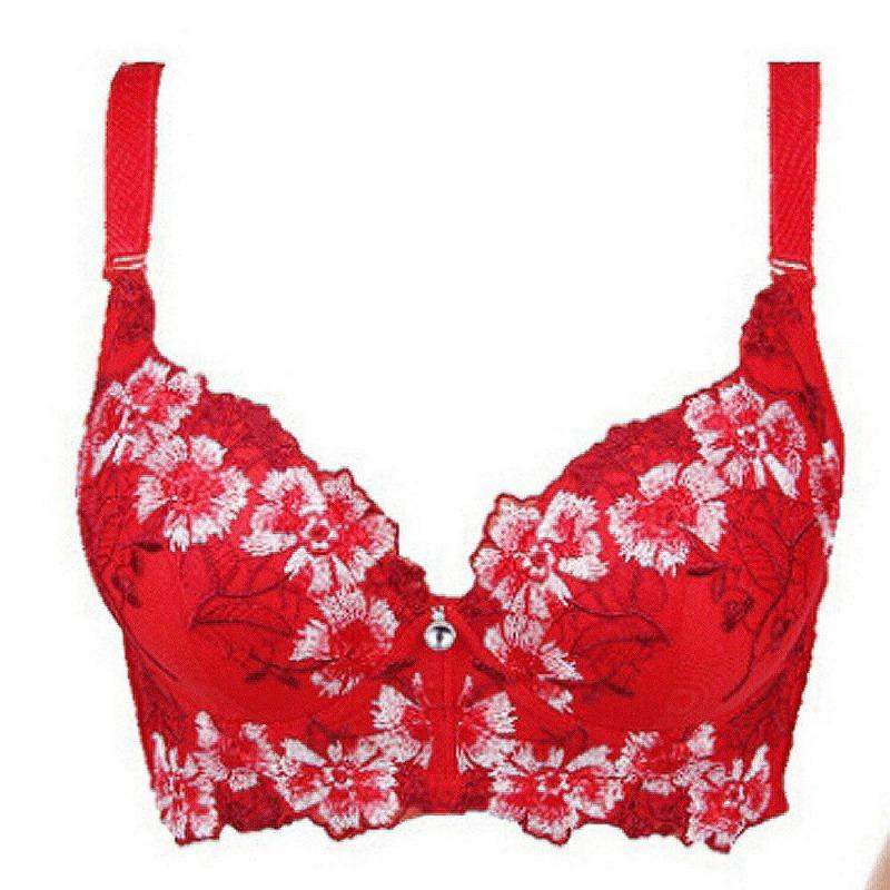 FallSweet Embroidery Bra for Women Sexy Push Up Brassiere C D Cup Underwear