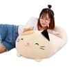 Hot 20/28cm Soft Animals Cartoon Cat Pillows Cushion Lovely Rabbit Stuffed Dog  Penguin Pig Frog Plush Toy Birthyday Gift