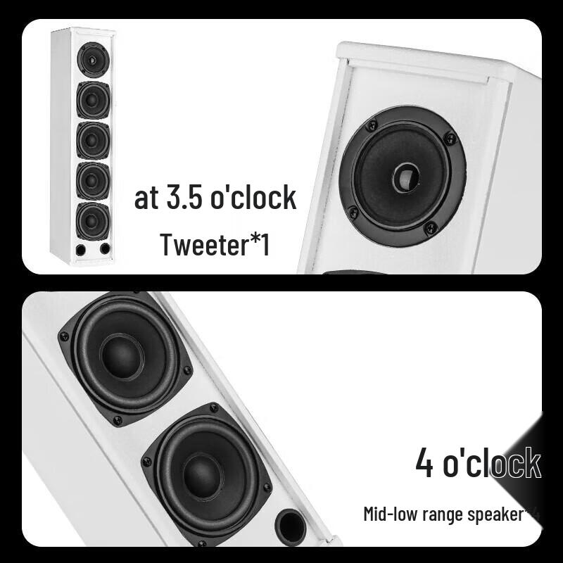 SAST Professional Conference Speaker System with Microphones (CN Version)