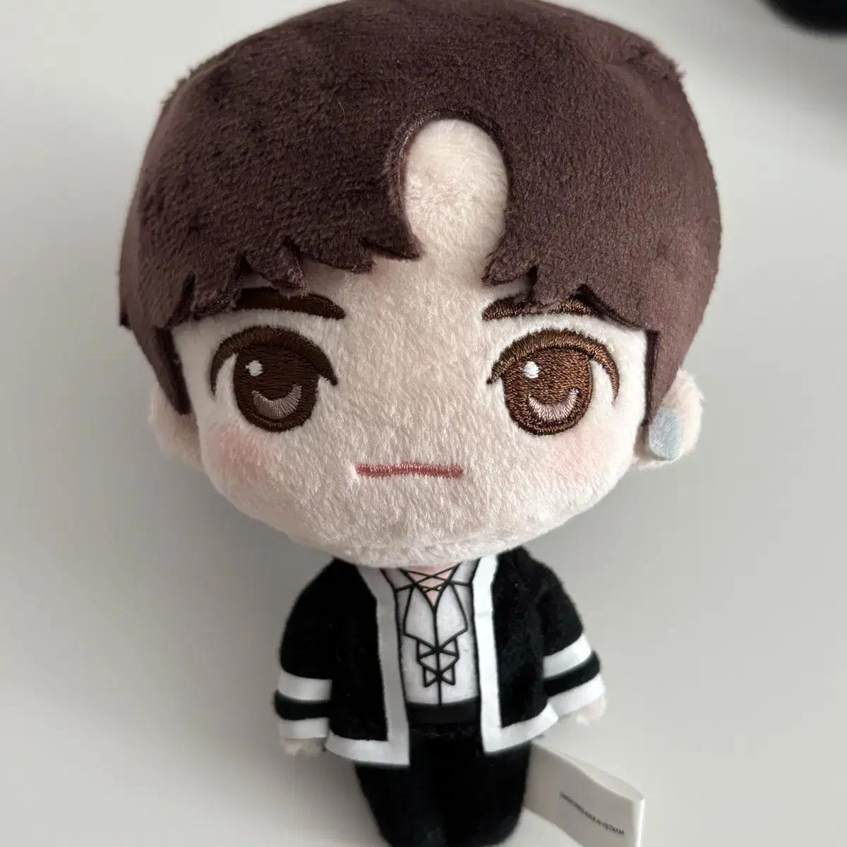 

Enhypen Heeseung Doll s Sister