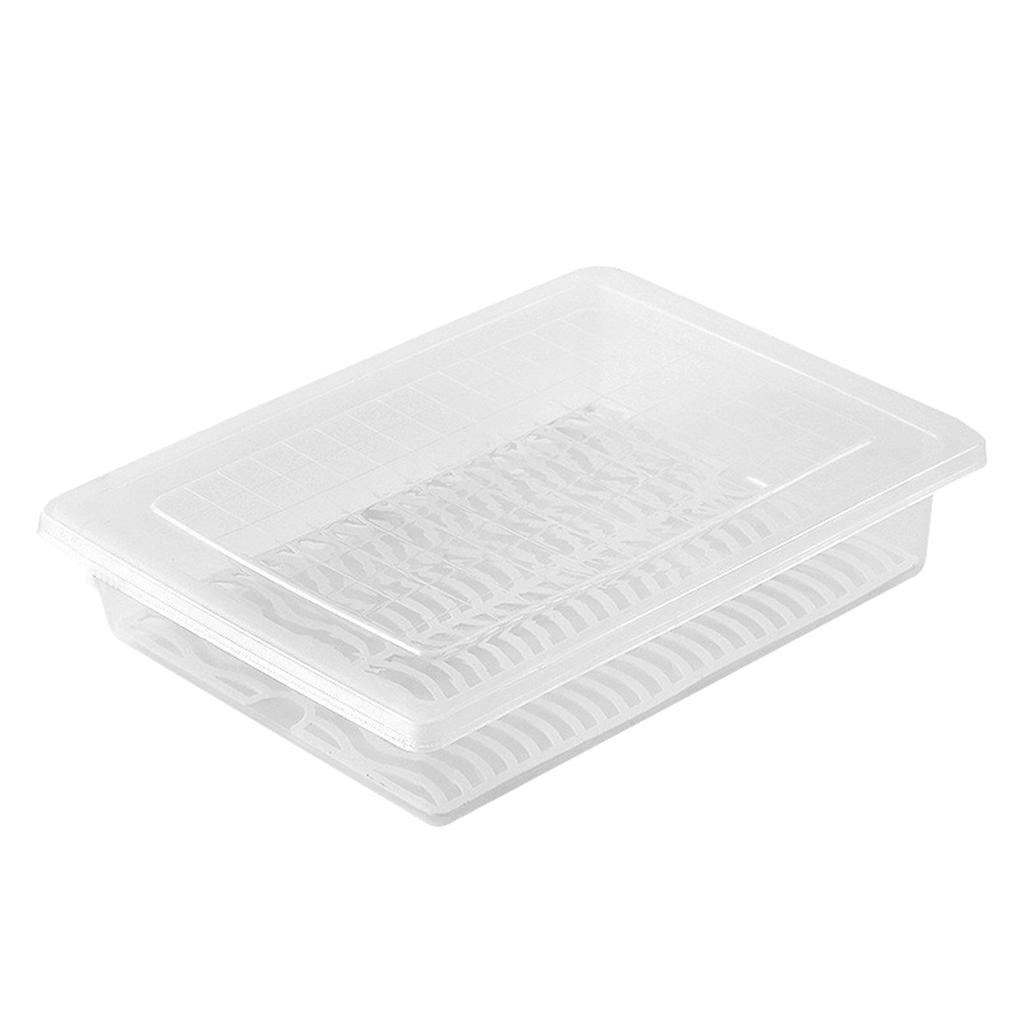 KEEP YOUR FOOD FRESH, ORGANIZED, & READY - Pack Of 1 Fresh Food Storage Container With Lid &