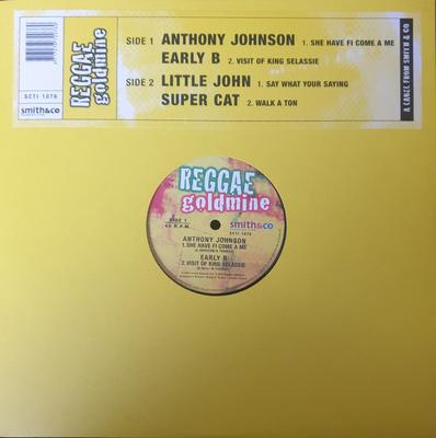 12inch Record VARIOUS - She Have Fi Come A Me / Visit Of Ki SCTI1076 Reggae Goldmine 2003 Netherland Reggae, Ska & Dub Used