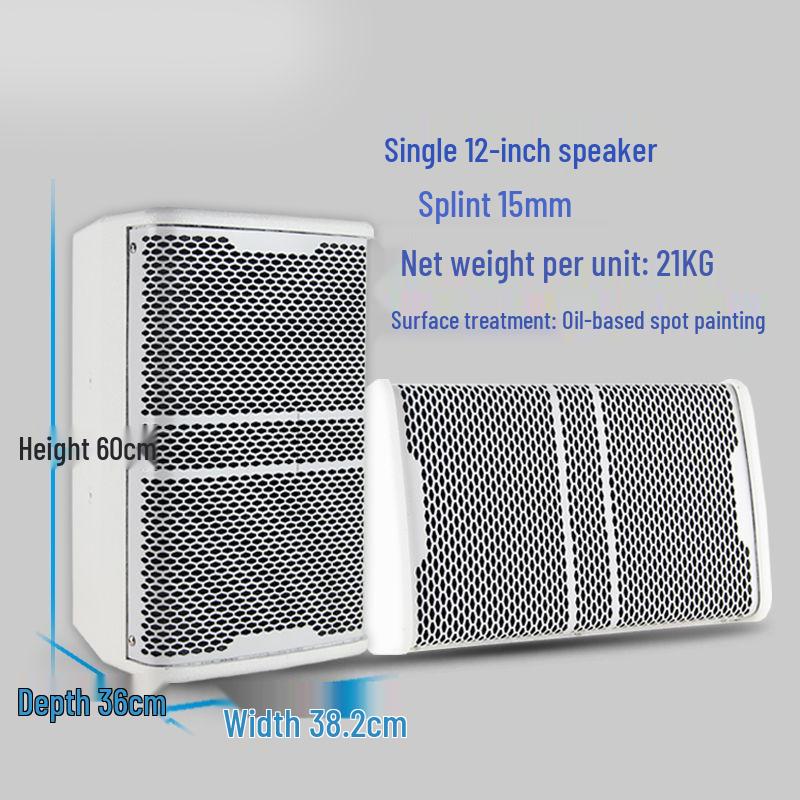 Ying Xian Dan Professional Wall-Mounted Speaker for Conference Rooms, KTV, Dance, School, or Hotel (8/10/12/15 Inch).