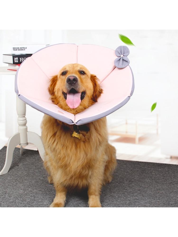 protective cones for dogs