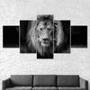 Lion Wild Animal Black and White Scene 5 Piece Five Panel Wall Canvas Print Modern Art Poster Picture Home Decor Gift For Him For Her