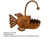 Baizihuahu Fish Shaped Metal Planter, Rustic Anglerfish Flower Pot, Decorative Rusty Plant Pot for Succulents Cacti Small Plants