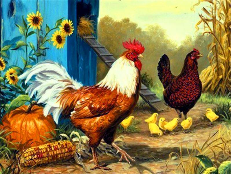 RUOPOTY DIY Painting By Numbers Animal Pictures By Number Chicken Kits Hand Painted Paintings Art Drawing On Canvas Home Decor
