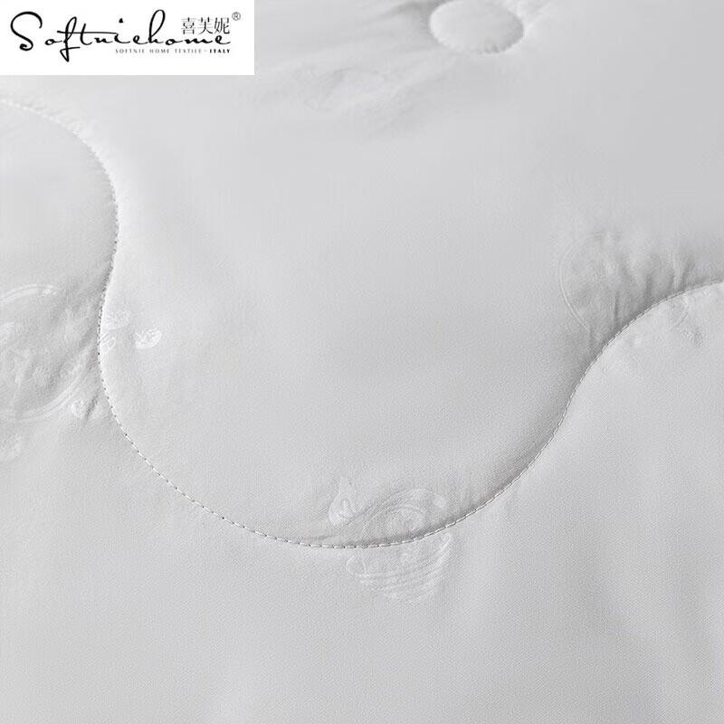 SOFTNIE Lanyue Ganzjahres-Polyesterfaser-Steppdecke