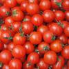 Tomatoe Seeds / 16 Popular Varieties / Organic / Non GMO Tigerella Black Cherry Oxheart Zlatava
