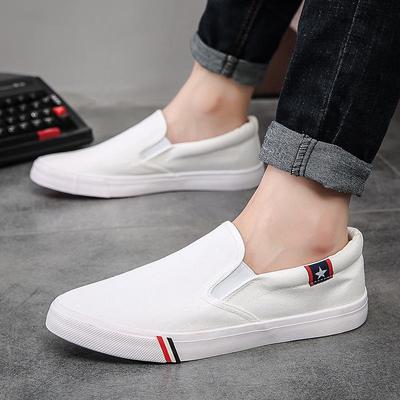 Spring Men's XL Canvas Slip-on Shoes - Korean Style Trendy Casuals