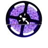 UV Sterilization Purple LED Strip Light - 8MM, 60 LEDs per Meter for Mosquito Attraction