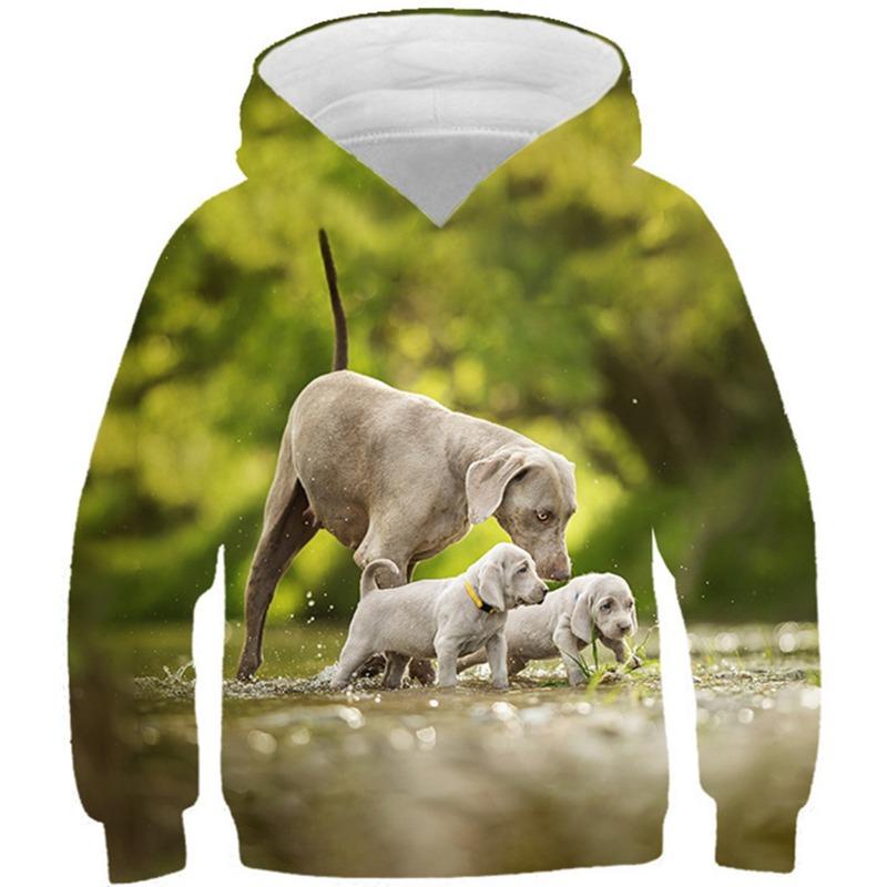 Autumn 3D Animal Pattern Printed Hoodies Fashionable Casual Sports Long Sleeved Children's Boy Hooded Sweatshirts
