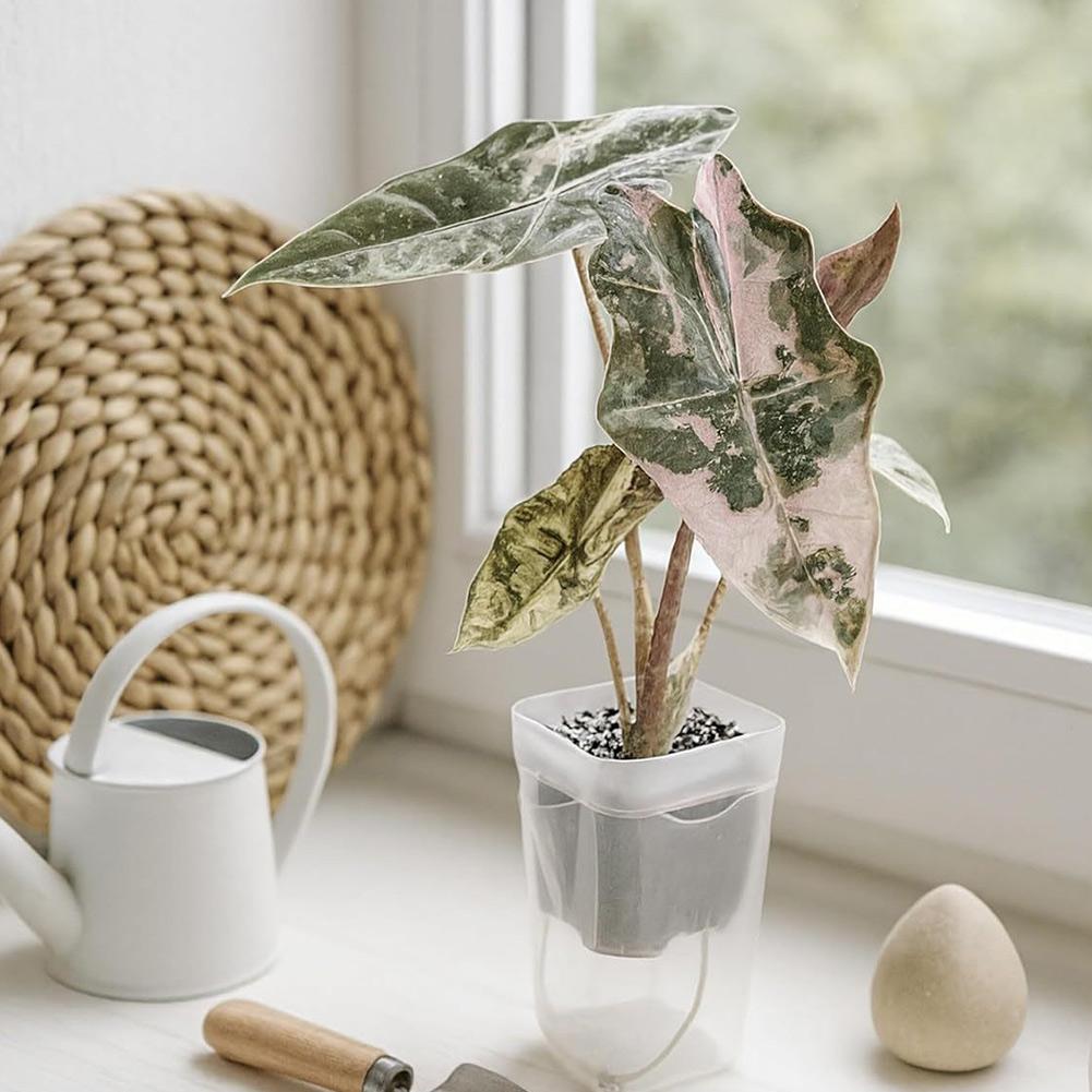 Clear Dual Layers Semi-transparent Self Watering Pots Semi-transparent Design Monitor Root Growth Side Refill Opening