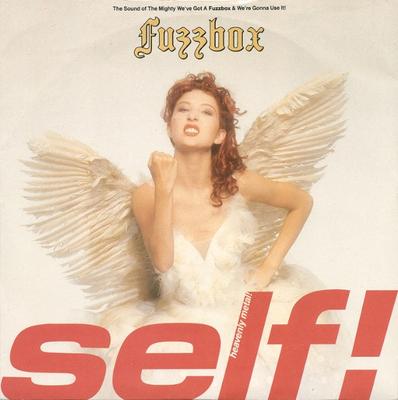 7inch Record WE'VE GOT A FUZZBOX & WE'RE GONNA U - Self! YZ408 WEA 1989 UK Rock Used