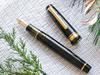 WANCHER Limited Edition SAILOR Original Professional Gear Champagne Dark Green 21K Gold Fountain Pen (Medium Nib)
