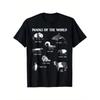 T-shirt Graphique Pandas du Monde - T-shirt 100% Coton à Col Rond et Manches Courtes avec 8 Espèces de Pandas (Géant, Nain, Rouge, Ventre-Rouge, Ventre-Rouge, Brun, Sichuan,