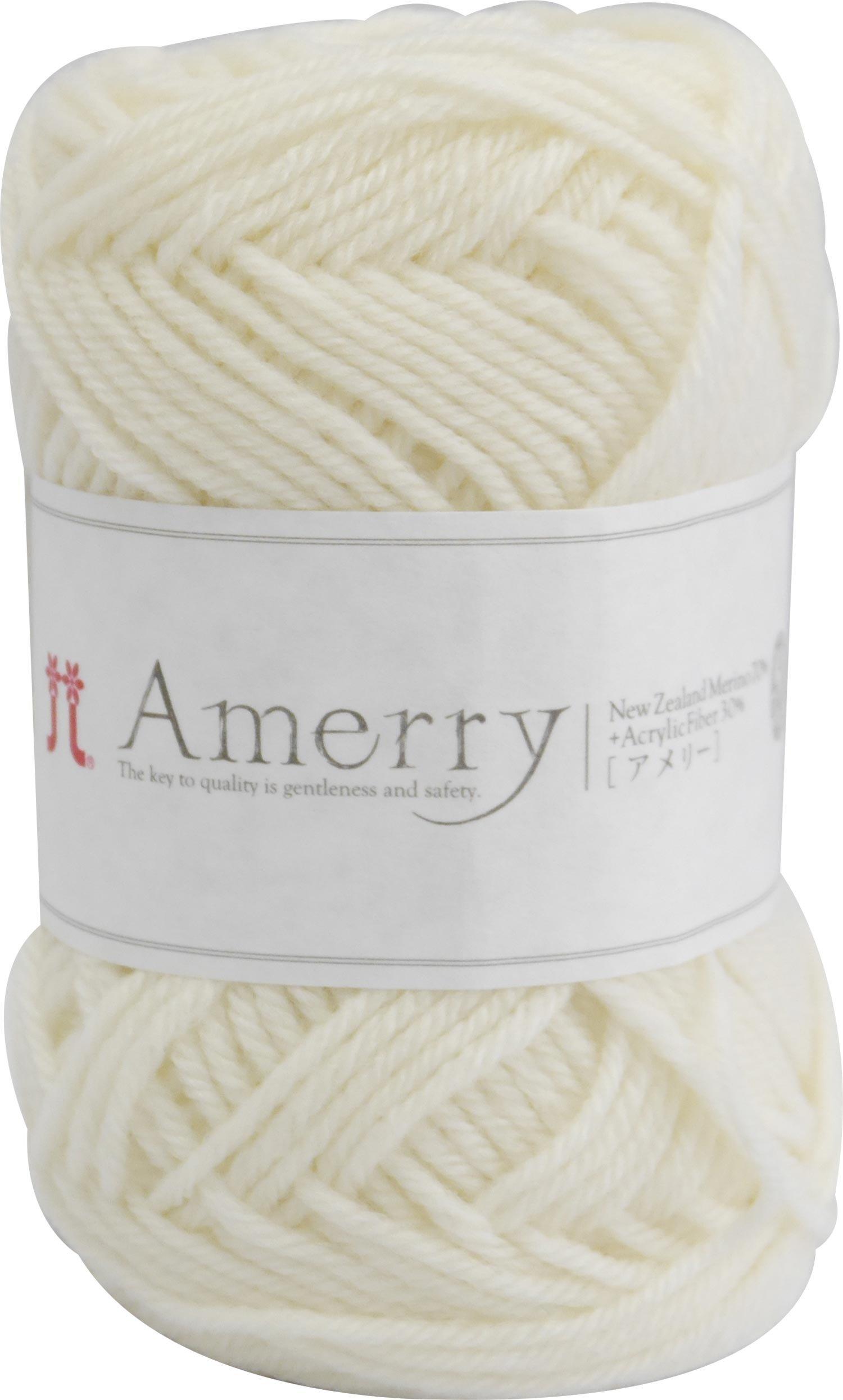 

Hamanaka Amery Yarn Medium Thick White 40g 110m 5 balls set 2261 col.20 Approx.