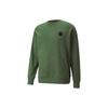 PUMA Sweatshirts Unisex Green Crew Neck Moderate Regular (Unisex) Sweatshirts 532241 67