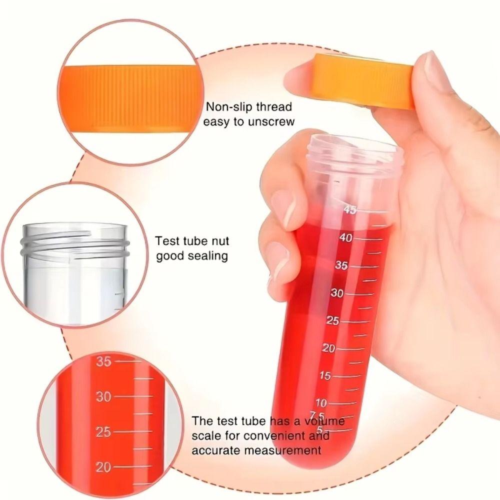 Centrifuge Tube Holder Kids Test Tubes Learning Science Test Tubes Plastic Droppers For Children