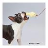 ADD. MATE Fluffy Puppy Toy Fluffy Fun Hirami