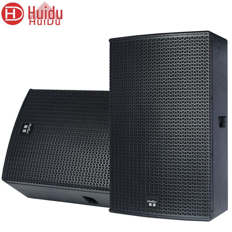 HuiDu TP-110 Professional Full-Range PA Speaker
