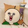 Funny Bbangbbangs Diary Cushion Cover Soft Plush Fabric Double-Sided Printed Sofa Cushion Cover For All Seasons Home Decor Gift