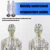 Model Uman pentru Practică de Acupunctură cu Puncte de Acupunctură și Meridiane Punct Model Masculin de Acupunctură Model Feminin de Acupunctură