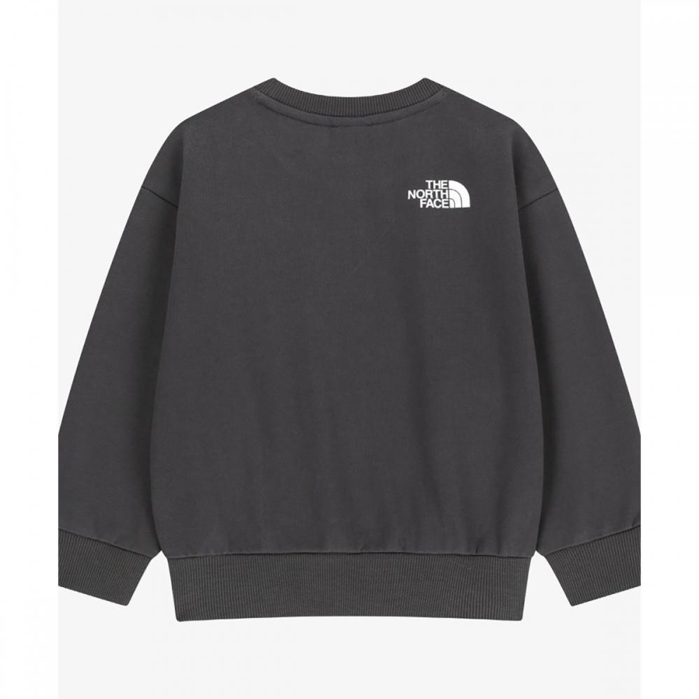 The North Face Kids Sweatshirt Charcoal Grey Nm5ms02t